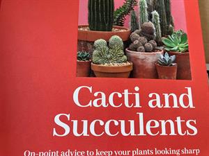 Cacti and Succulents